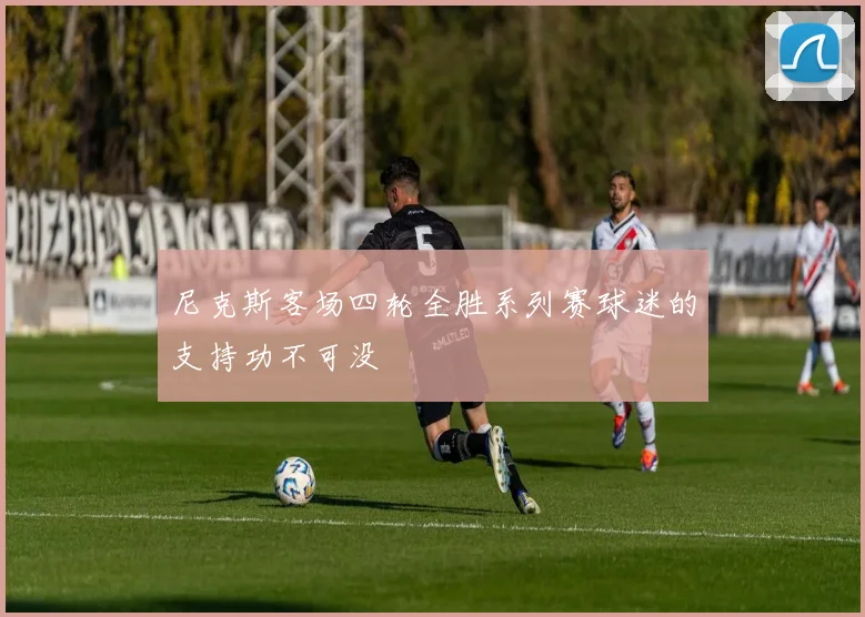 尼克斯客场四轮全胜系列赛球迷的支持功不可没