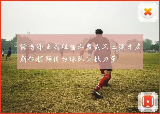 徐浩峰正式租借加盟武汉三镇开启新征程期待为球队贡献力量