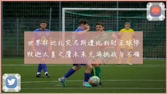 世界杯巡礼突尼斯遭比利时五球惨败迦太基之鹰未来充满挑战与不确定性