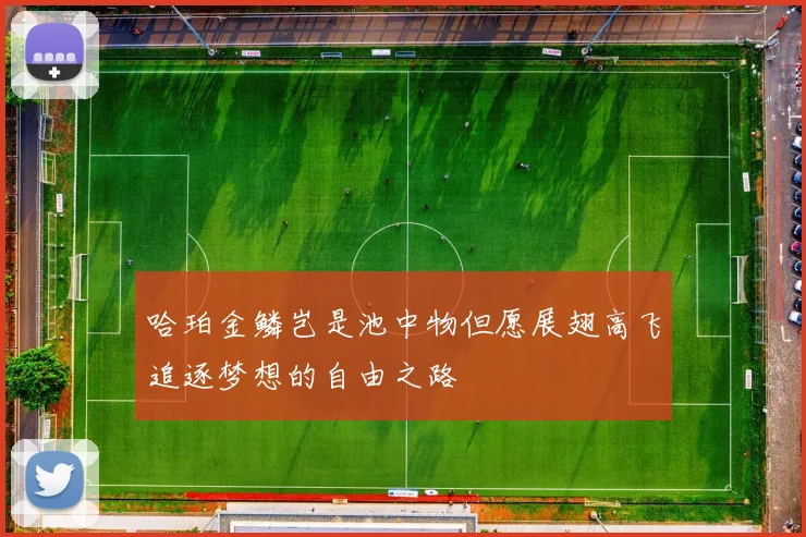 哈珀金鳞岂是池中物但愿展翅高飞追逐梦想的自由之路