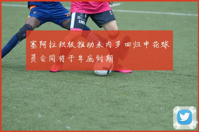 塞阿拉积极推动米内罗回归申花球员合同将于年底到期